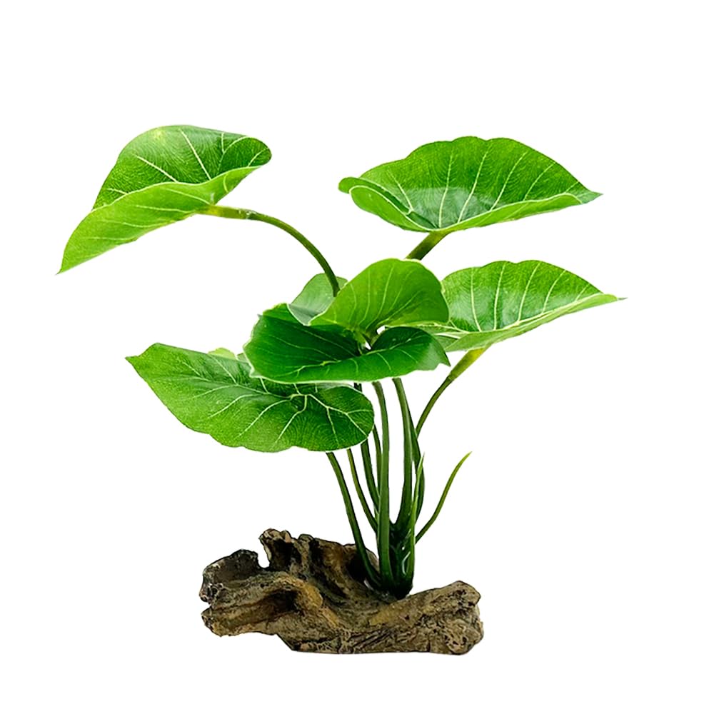 Smoothedo-Pets 6-Inch Aquarium Decor and Betta Leaf Hammock