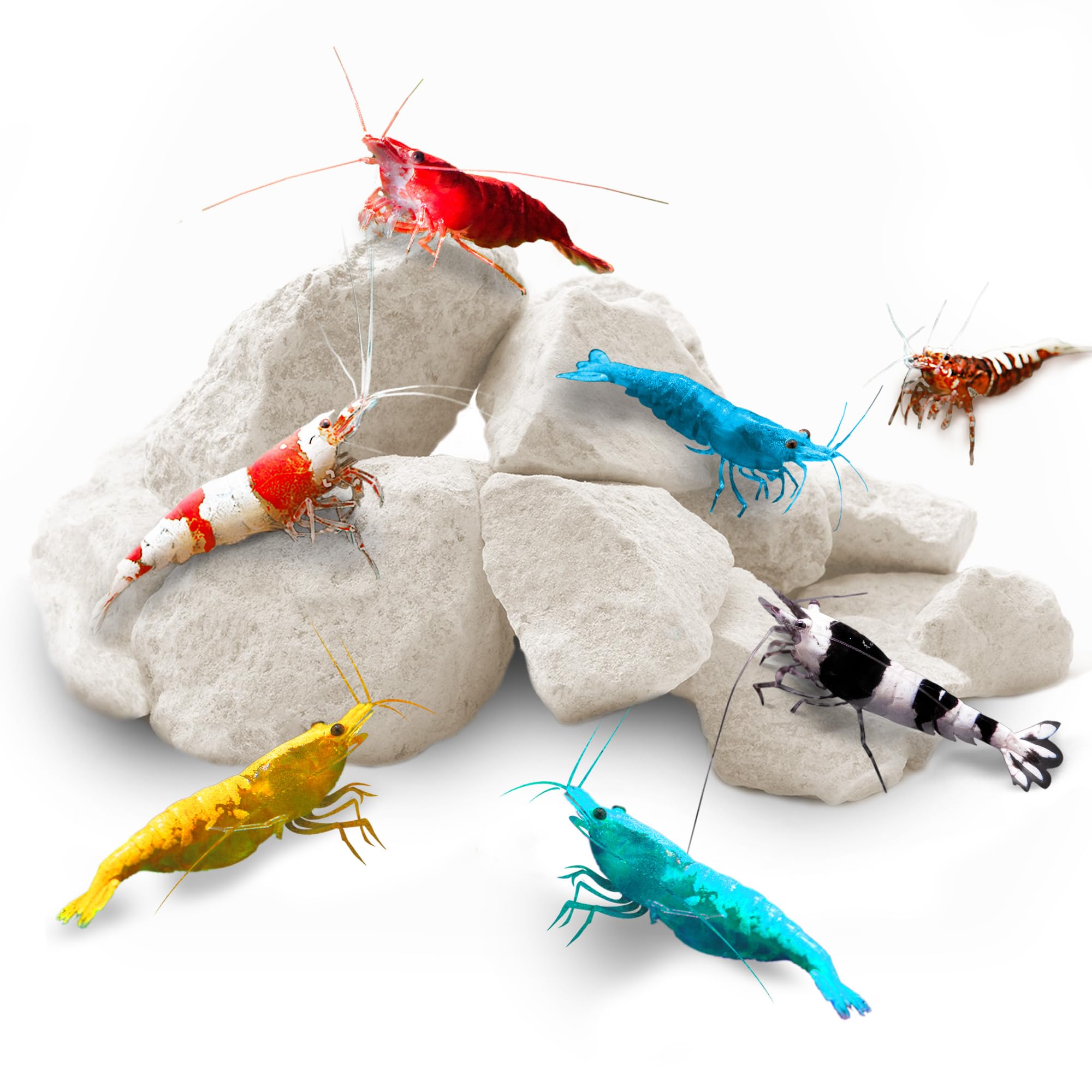 SunGrow Calcium and Magnesium Rocks for Aquatic Pets
