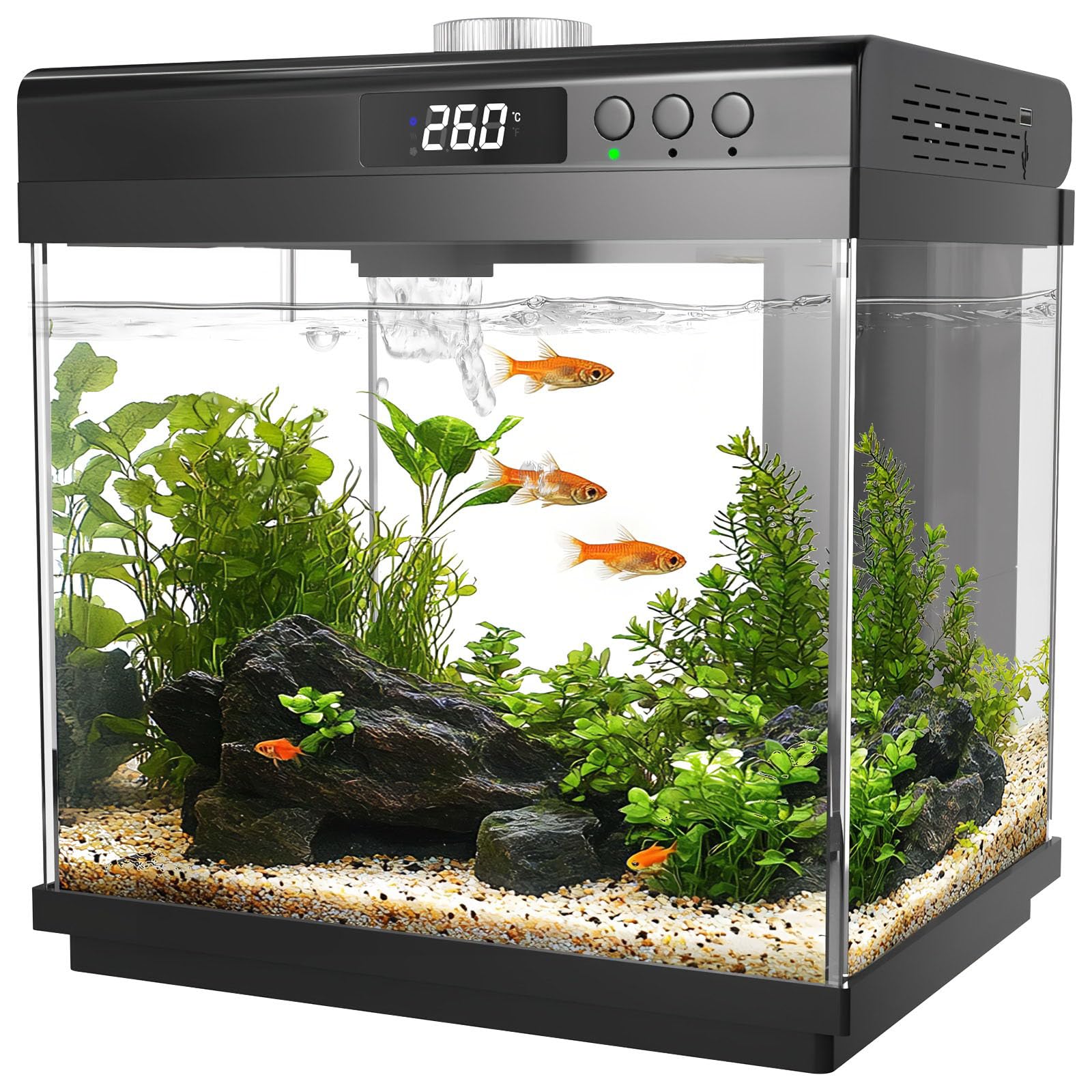 AQQA 3.7 Gallon Aquarium Starter Kit with Adjustable Light