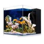 Coralland 8-Gallon Aquarium: Ultra Clear Glass for Marine and Freshwater