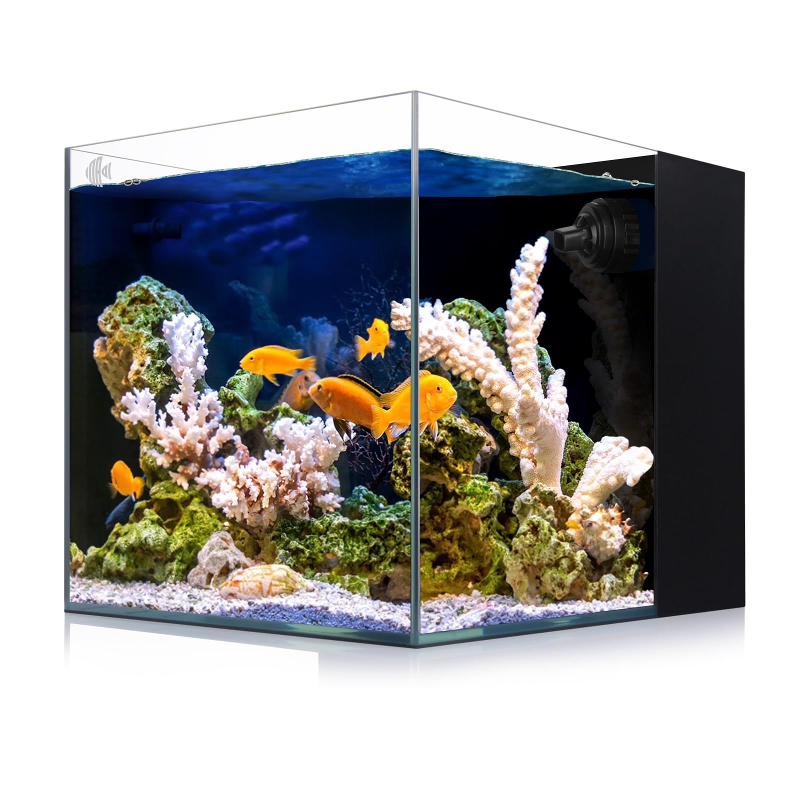 Coralland 8-Gallon Aquarium: Ultra Clear Glass for Marine and Freshwater