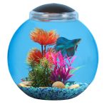 Koller Products 3-Gallon LED Fish Bowl for Betta and Goldfish