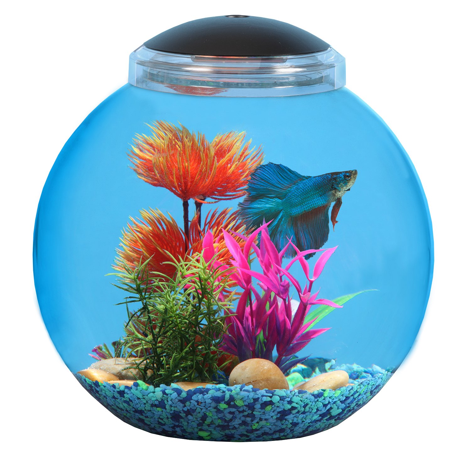 Koller Products 3-Gallon LED Fish Bowl for Betta and Goldfish