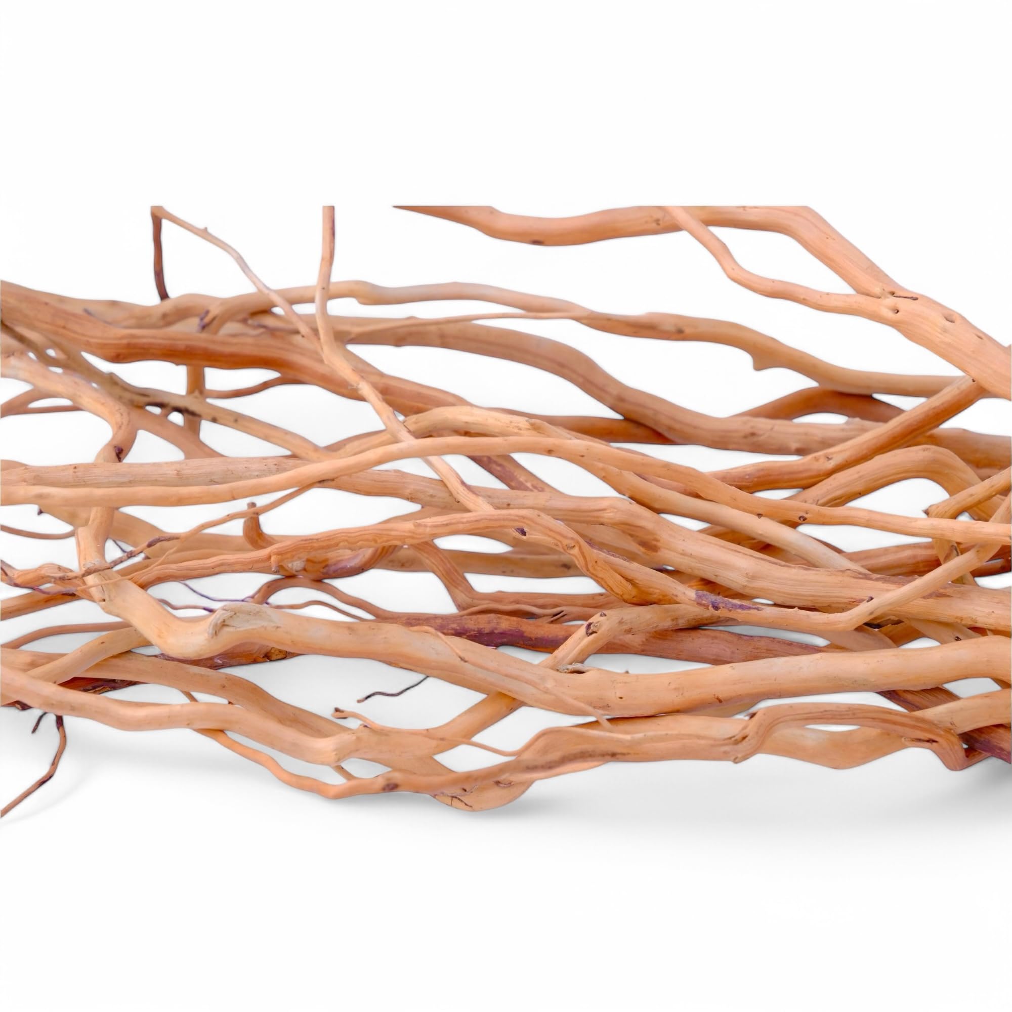 Azil Driftwood Root for Aquariums and Terrariums, 160g