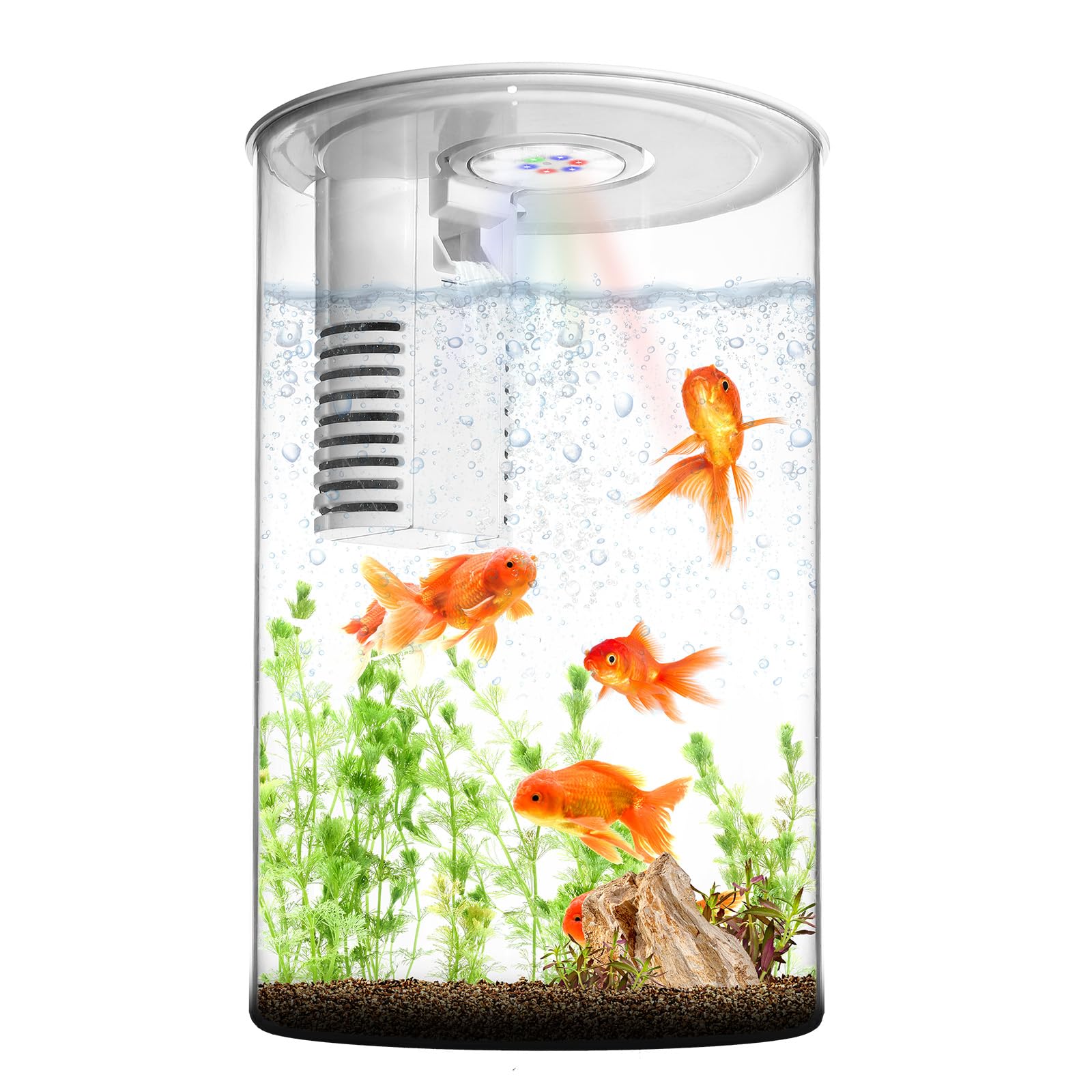 Brand Name: 3 Gallon Self-Cleaning Fish Tank with LED Light