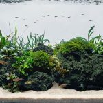 LANDEN Taiji Stone Natural Rocks for Aquascaping and Decoration