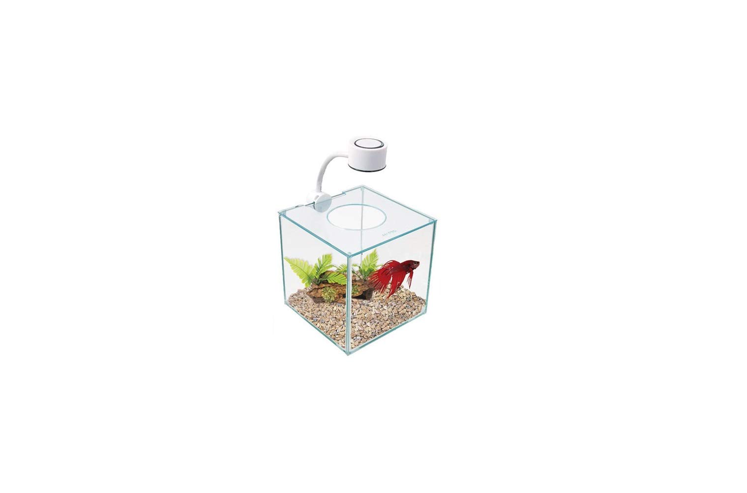 Marina CUBUS Glass Betta Kit – Elegant Aquarium for Home or Office