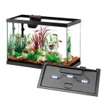 Aqueon 20 Gallon Aquarium Kit with SmartClean and LED Lighting