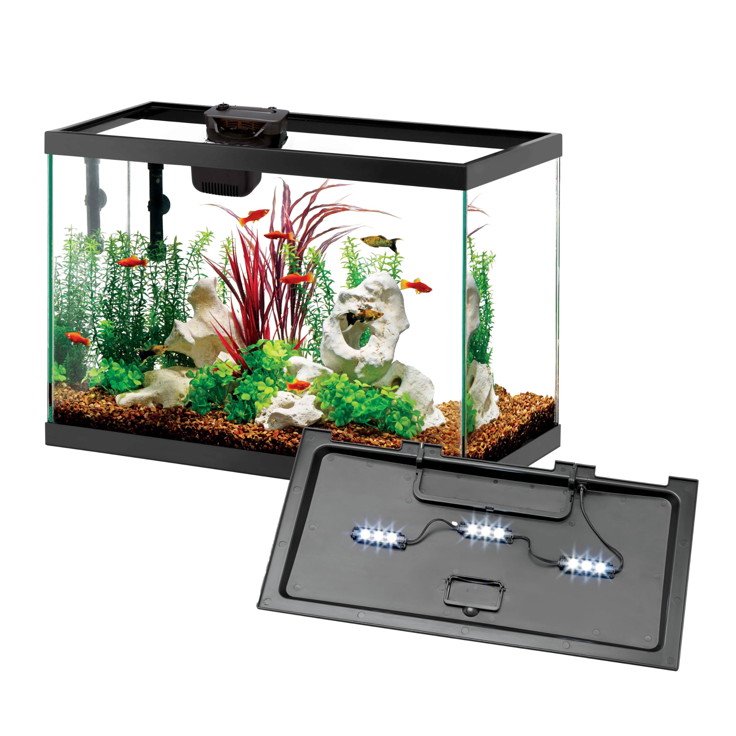 Aqueon 20 Gallon Aquarium Kit with SmartClean and LED Lighting