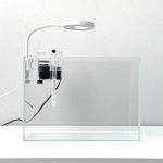 Whalix: 2.2 Gallon Rimless Nano Aquarium Kit for Betta Fish