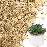 NUPICK Coarse Sand for Plants, Aquariums, and Landscaping – 3lb