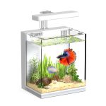 AQUASMITH 2 Gallon Betta Fish Tank with Filter and Light
