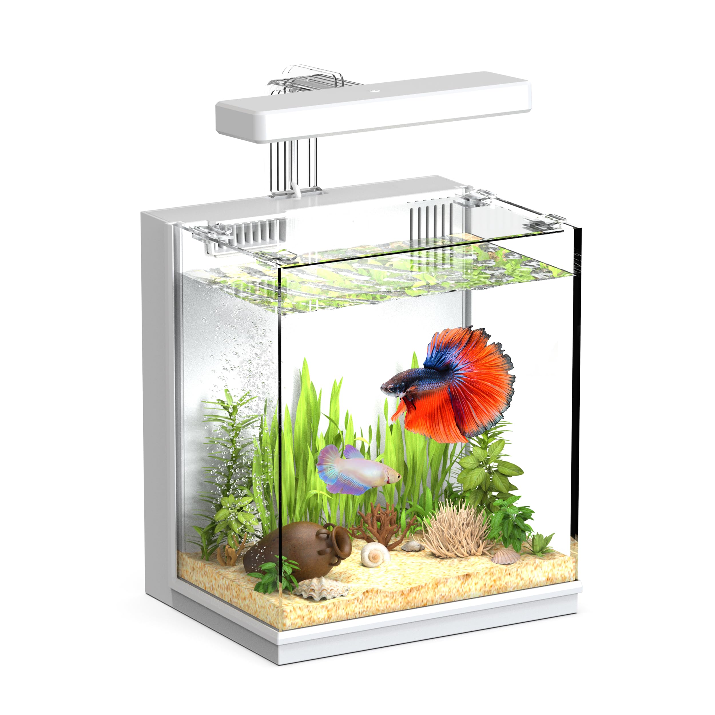 AQUASMITH 2 Gallon Betta Fish Tank with Filter and Light
