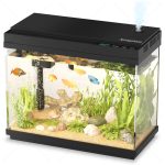 Xyingshine 2.5Gal Smart Aquarium Kit with Auto-Humidifying and LED Display