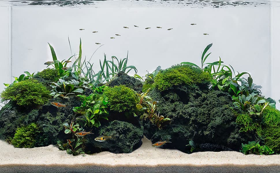 LANDEN Seiryu Stones for Aquariums, Paludariums, and Landscaping