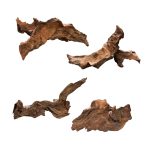AWXZOM 4pcs Natural Driftwood for Aquarium and Reptile Decor
