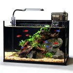 ZXIE-Cloud: 2.8 Gallon Ultra-Clear Nano Fish Tank Kit