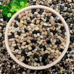 NUPICK 10lb Coarse Sand for Plants, Aquariums, and Landscaping