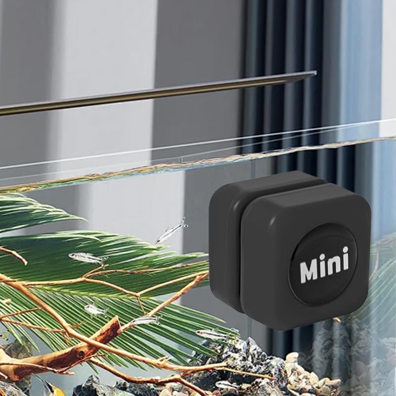 Aquarium Starter Kit - 5 Gallon Betta Fish Tank