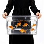 Geelin 3 Gallon Shatterproof Fish Tank and Terrarium Bowl