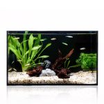 Ultra Clear 5 Gallon Fish Tank for Betta and Goldfish