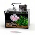 Betta Bliss 2.8 Gallon Nano Aquarium Starter Kit