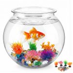 Aquarium Essentials 1 Gallon Clear Fish Bowl Set with Decor