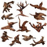 Hamiledyi 12Pcs Natural Driftwood for Aquariums and Lizards