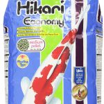 Hikari Usa Inc AHK38378 Economy 8.8lb Medium Size