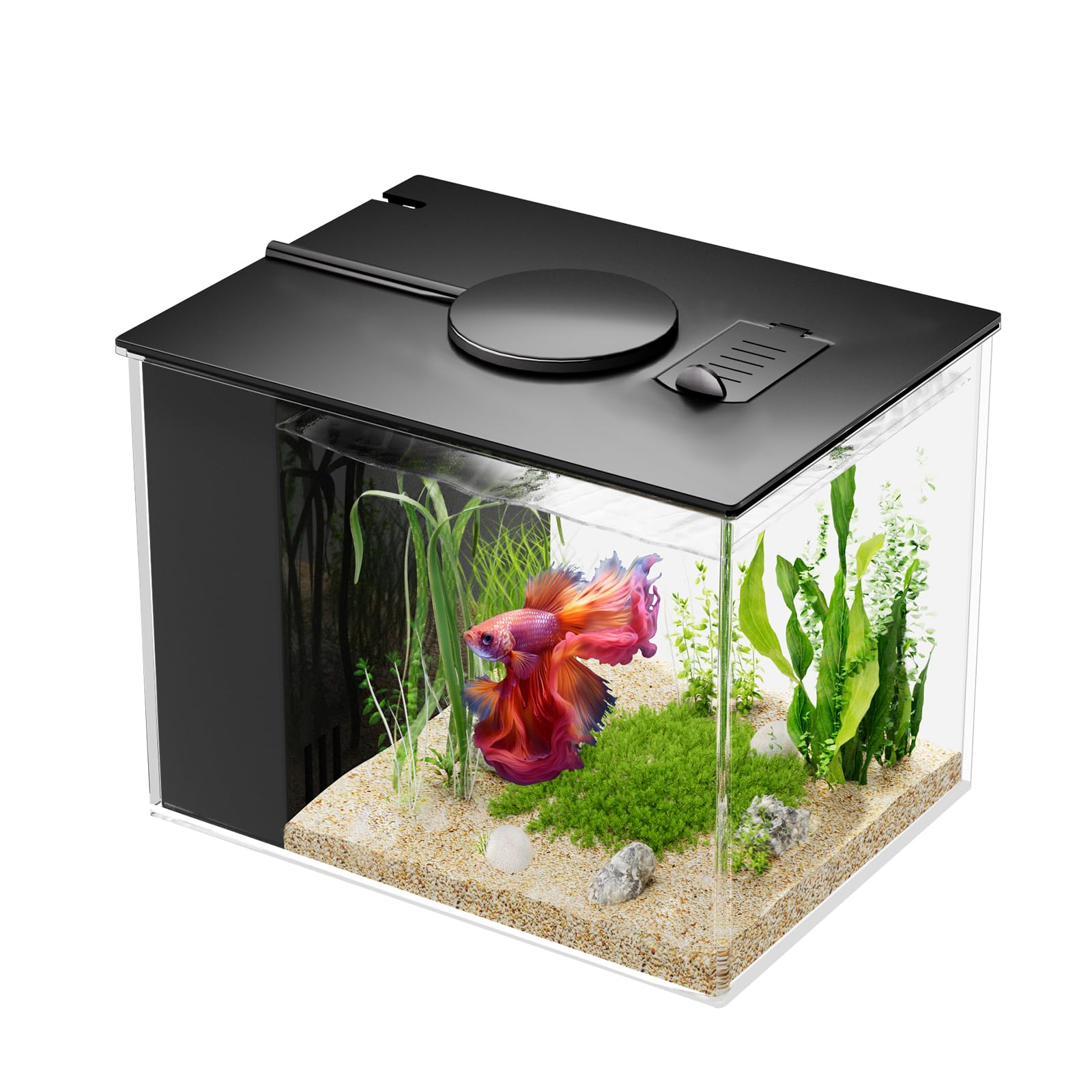 Vehipa 1 Gal Acrylic Nano Aquarium Kit with Filter & Light