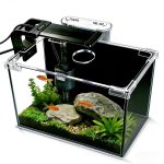 FS&AQ 5 Gallon Betta Fish Tank Starter Kit for Offices