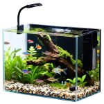 Nano Aquarium 2.5 Gallon with Heater and LED Light