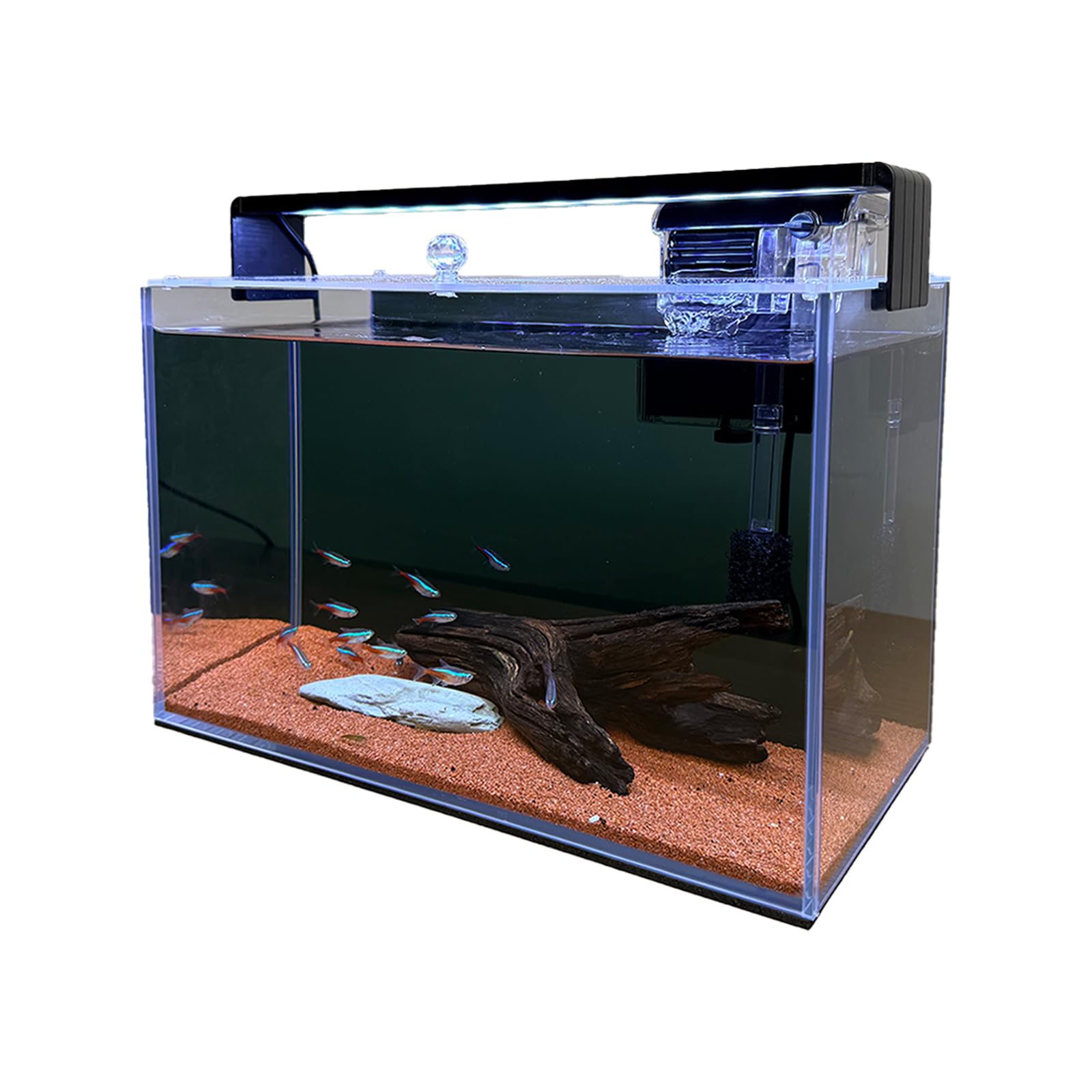 SMTAQX 3.2 Gallon Nano Aquarium Kit with Filter and Light