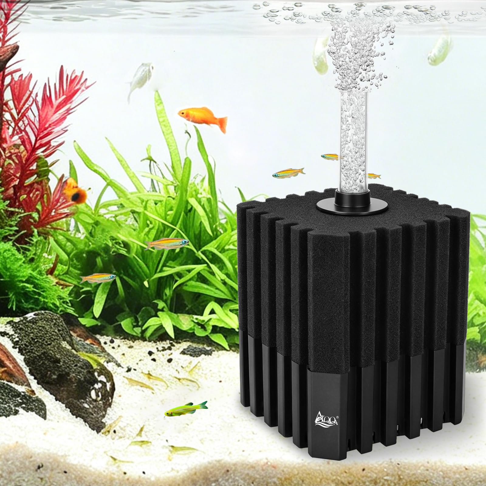 AQQA Quiet Sponge Filter with Bio Media for Aquariums