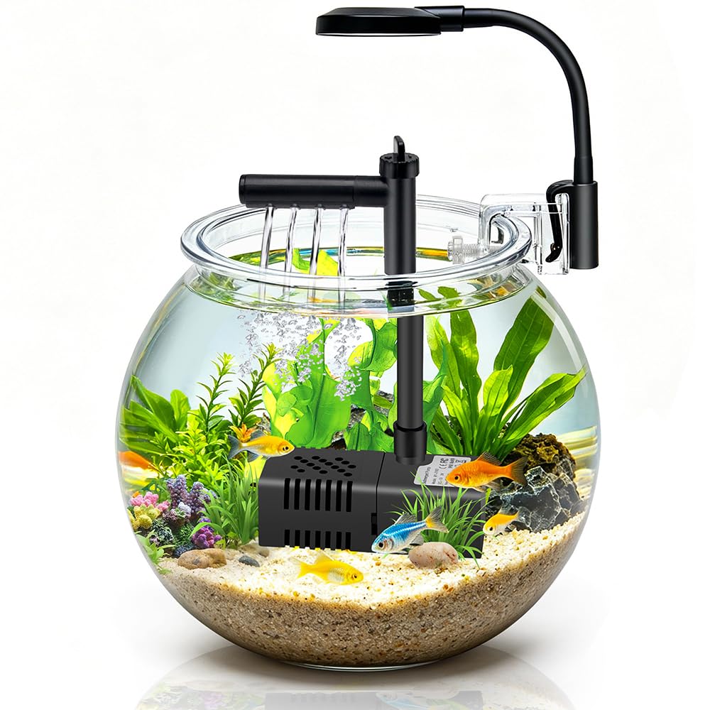 DaToo Mini Fish Bowl Kit with USB Filtration and Lighting