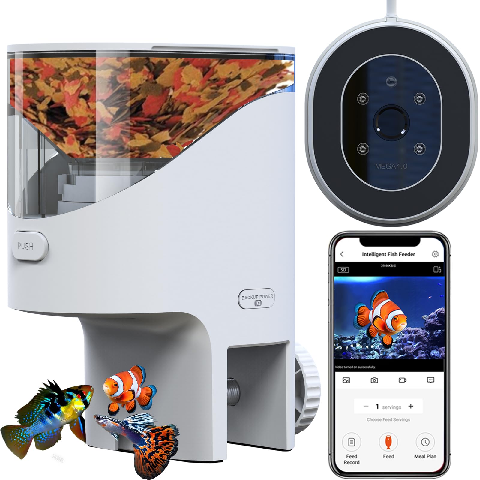 YAMOSO WiFi Fish Feeder with Camera and Smart Control