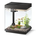 Juilsioa 1.6 Gallon Glass Aquarium Starter Kit with LED