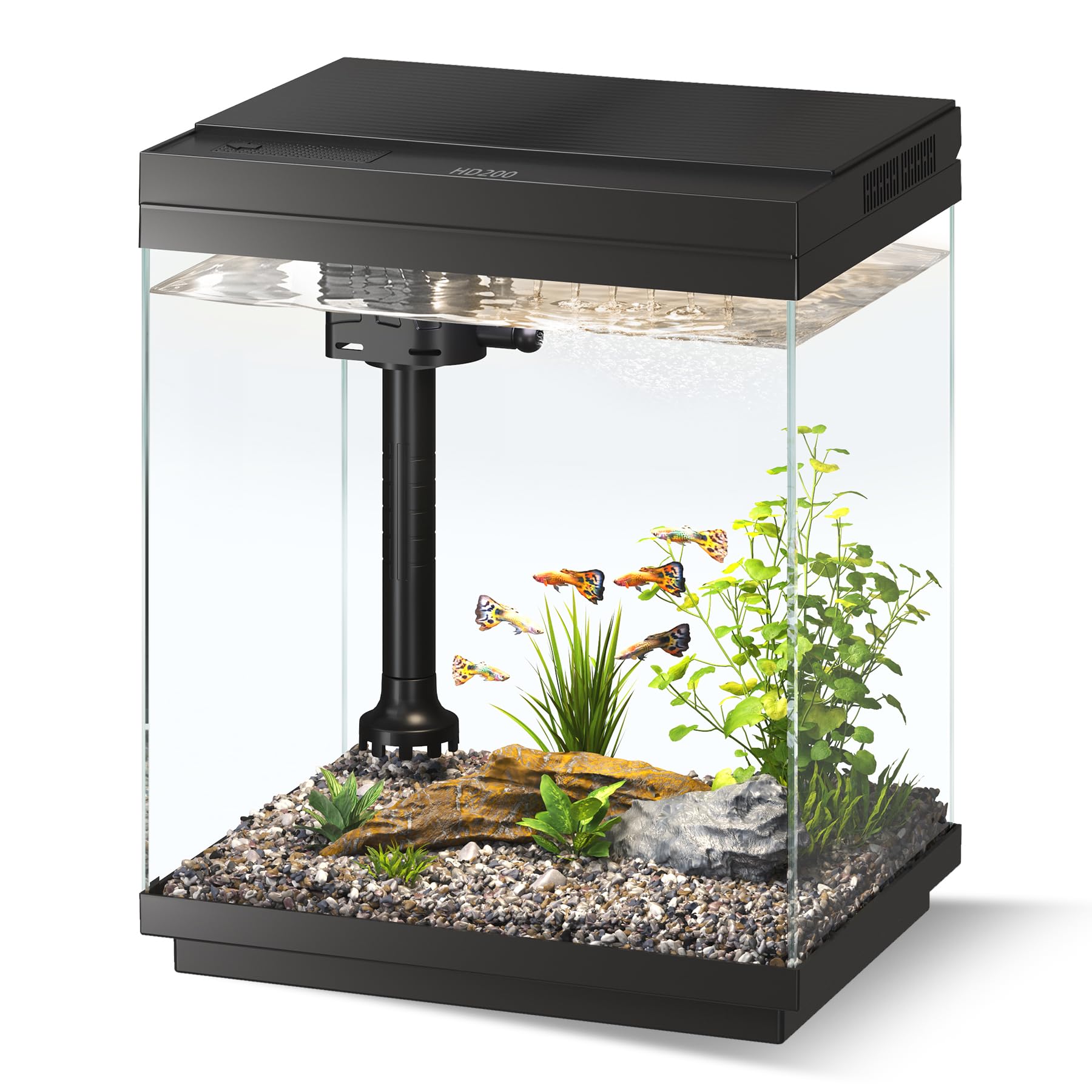 Juilsioa 1.6 Gallon Glass Aquarium Starter Kit with LED