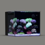 LANDEN EzFlux 35 Rimless 10 Gallon Filtration Tank with Pump