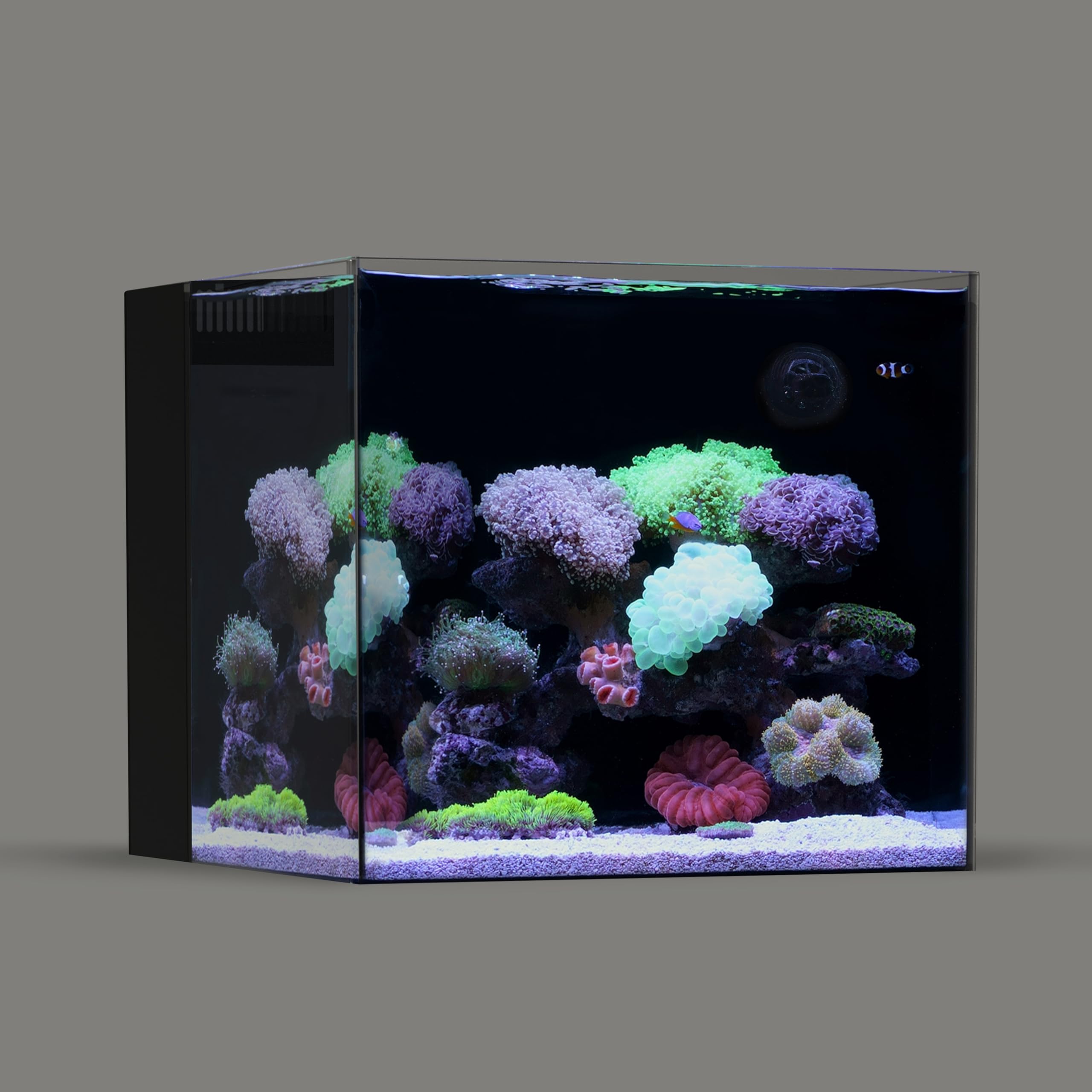 LANDEN EzFlux 35 Rimless 10 Gallon Filtration Tank with Pump