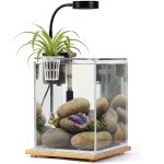 Nano Aquarium Kit: 2.5 Gallon with LED Light & Filter
