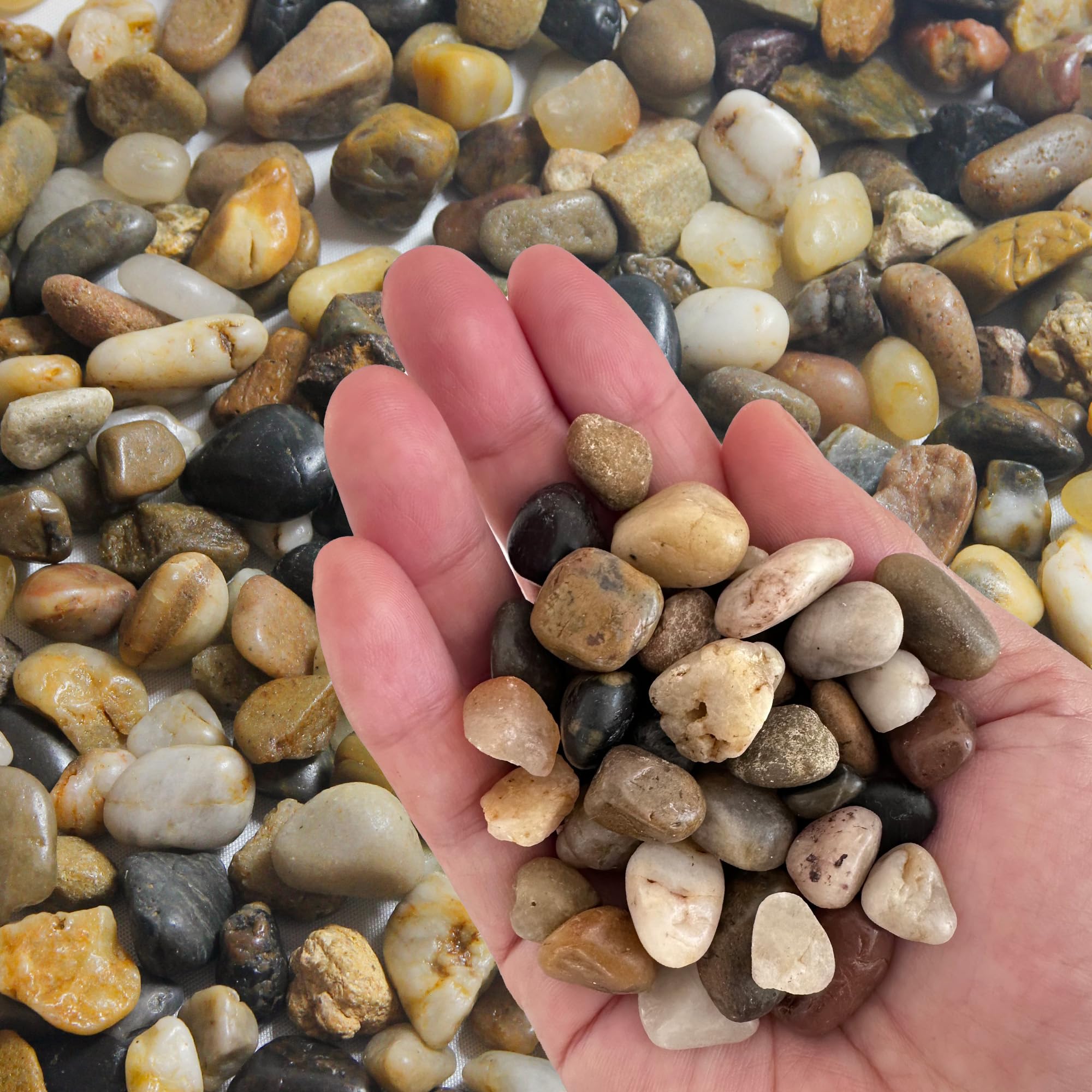 Natural Decorative Polished Mixed Pebbles for Aquariums and Decor