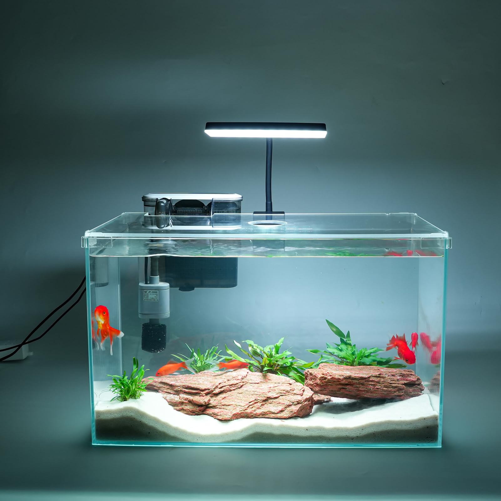Vimvins 10 Gallon Glass Fish Tank Starter Kit with Filter